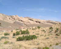 Colorado.2.JPG (52594 bytes)