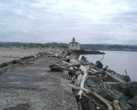 Driftwood.5.JPG (47461 bytes)