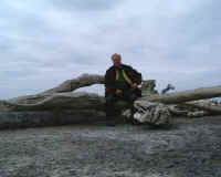 Driftwood.6.JPG (42631 bytes)