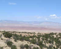 Dscf0040.jpg (43884 bytes)