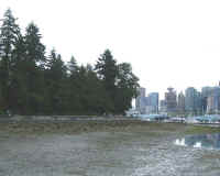 Dscf0057.jpg (49654 bytes)