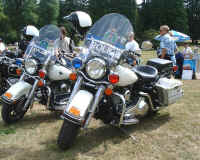 Police Harly.JPG (88971 bytes)