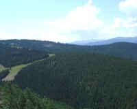 Vail.3.JPG (35041 bytes)