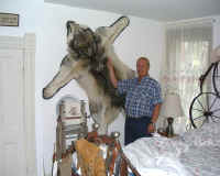 Wolf.JPG (43024 bytes)